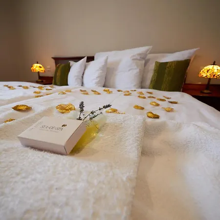 Hotel Hradná Stráž Hotel&apartments S Privátnym Wellness