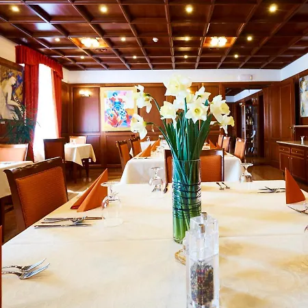 Hradna Straz Hotel&apartments S Privatnym Wellness Топольчанки