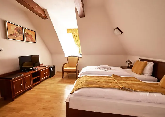 Hradna Straz Hotel&apartments S Privatnym Wellness Topoľčianky